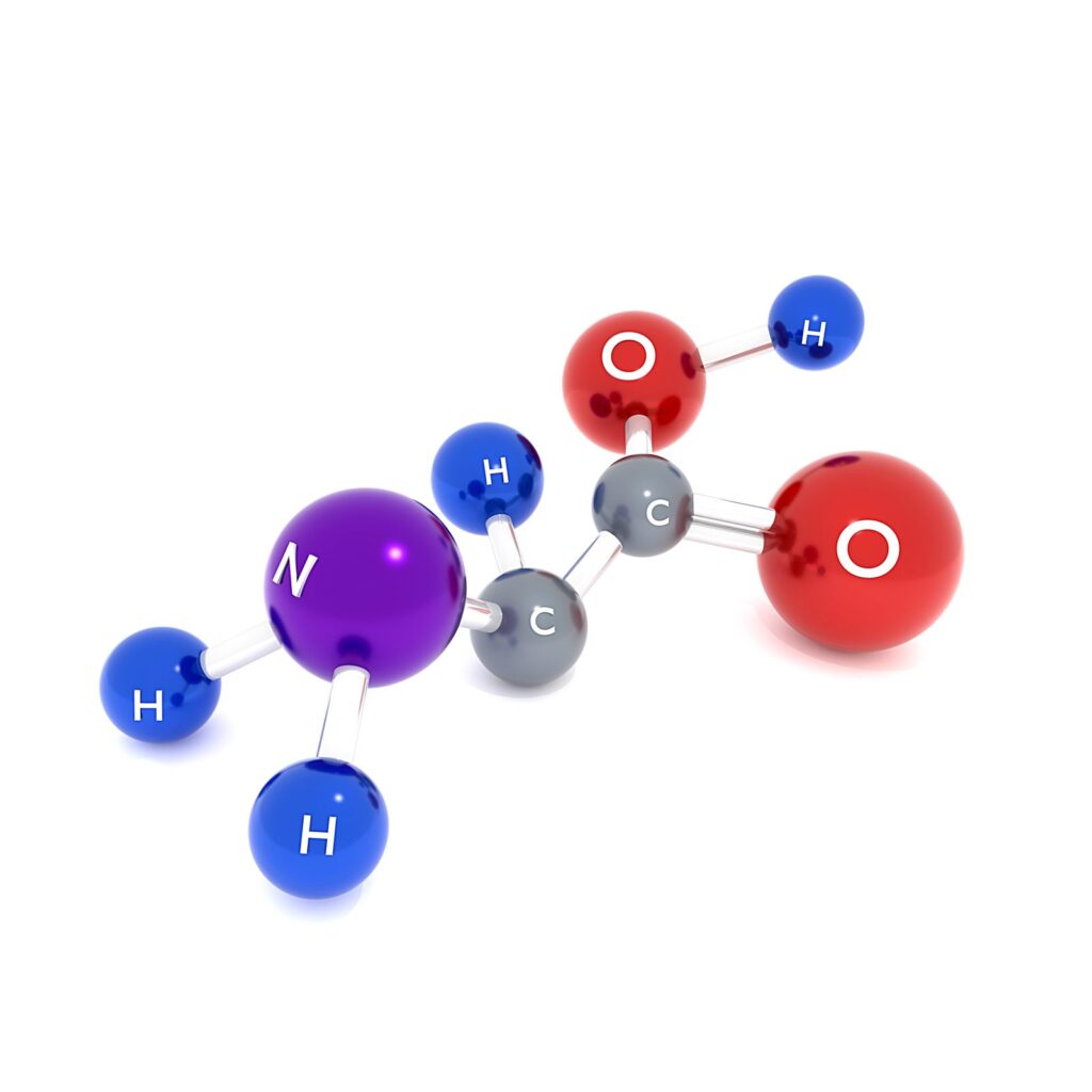 Three-dimensional molecular model of an amino acid, showing its nitrogen, carbon, oxygen and hydrogen atoms